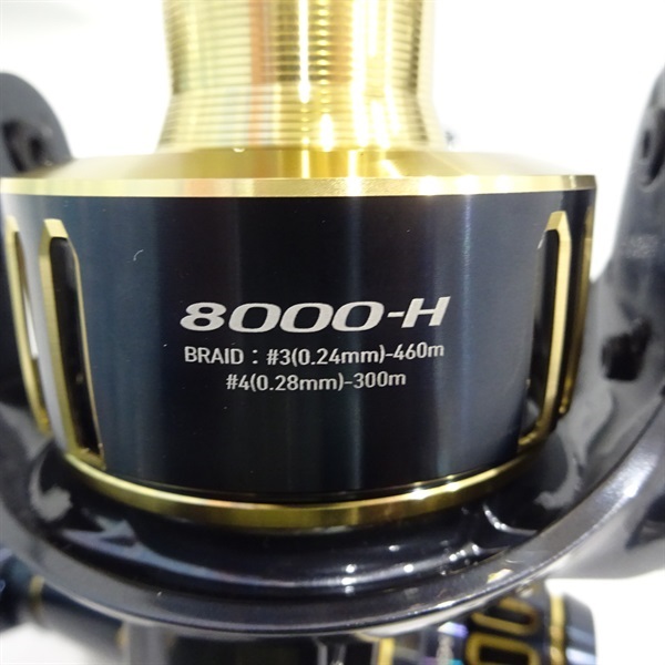 ２５ソルティガ８０００Ｈ